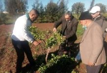 Journée de sensibilisation sur les traitements d’hiver