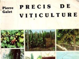 Précis de viticulture