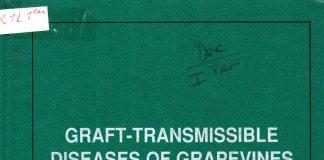 Graft-transmissible diseases of grapevines handbook for detection and diagnosis