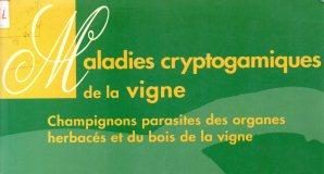 Maladies cryptogamiques de la vigne champignons parasites des organes herbacés et du bois de la vigne