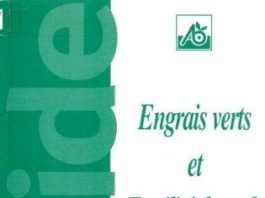 Engrais verts et fertilité des sol