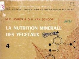 La nutrition minérale des végétaux