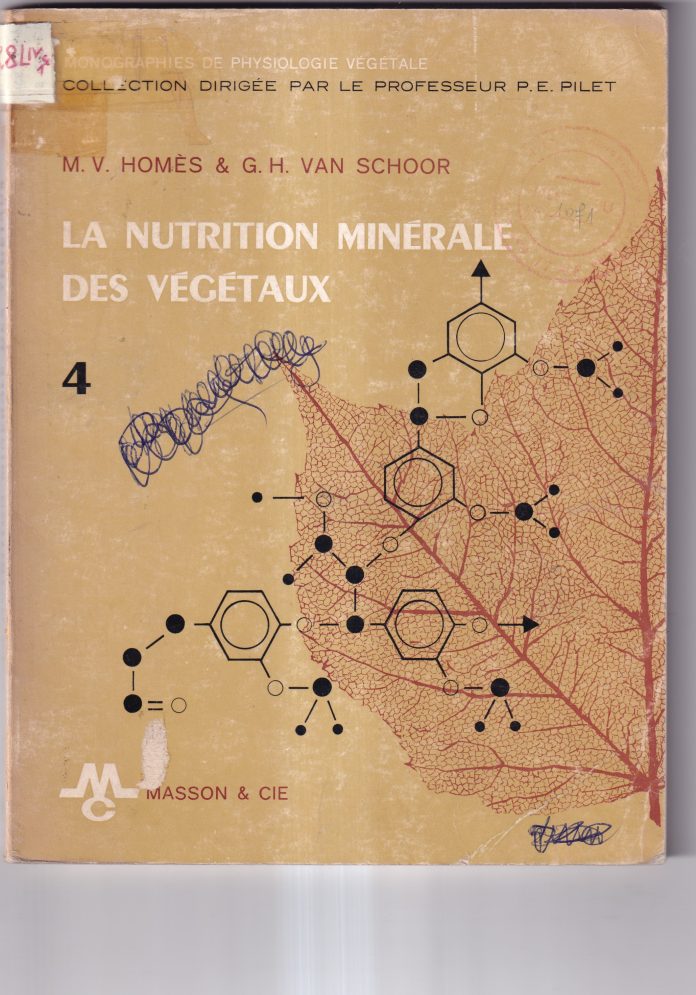 La nutrition minérale des végétaux
