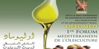 OLEOMED 1er FORUM MEDITERRANEEN DE L’OLEICULTURE