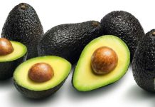 Journée portes ouvertes sur la culture de l’avocatier