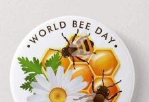 اليوم العالمي للنحل