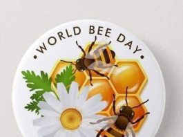 اليوم العالمي للنحل