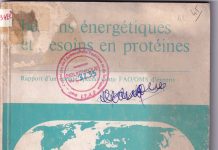 Besoins énergétiques et Besoins en proténes