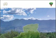 CATALOGUE DES VARIETES ALGERIENNES DE L’OLIVIER