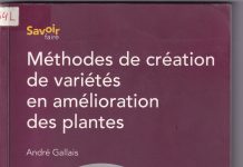 Méthodes de création de variétés en amélioration des plantes