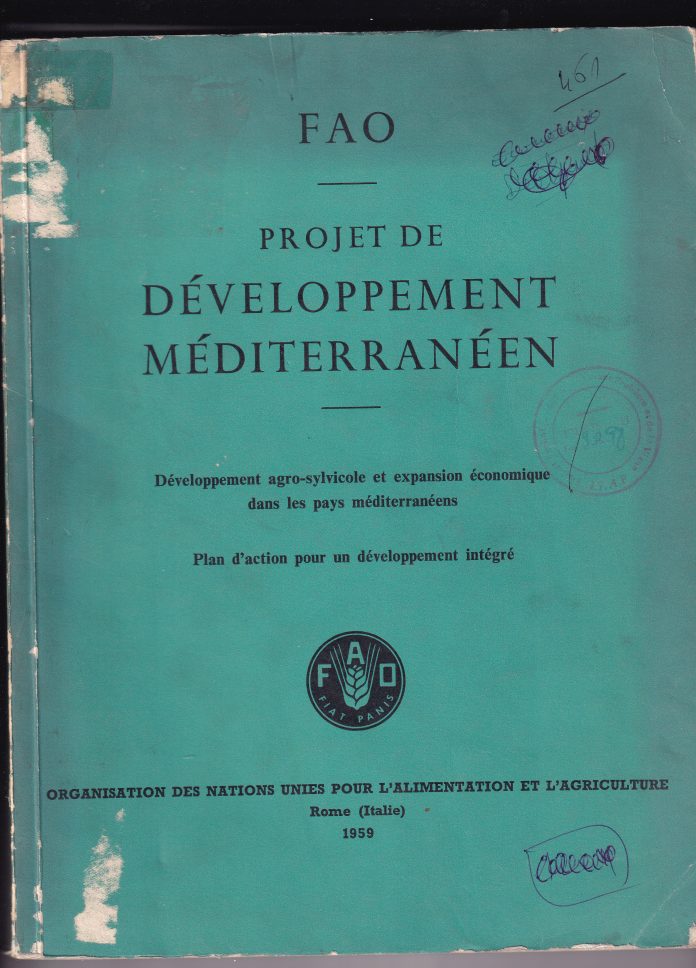 projet développement méditerranéen