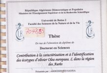 Thèse : Contribution à la caractérisation et à l’identification des écotypes d’olivier Olea europaea. L. dans la région des Aurès