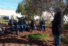 Journée d’information et de sensibilisation sur l’application des engrais en arboriculture fruitière