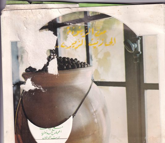 Des Oliviers à l’huile D’Olive